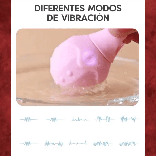 Daphne – Estimulador de Clitoris Anillo Vibrador USB 10 Velocidades